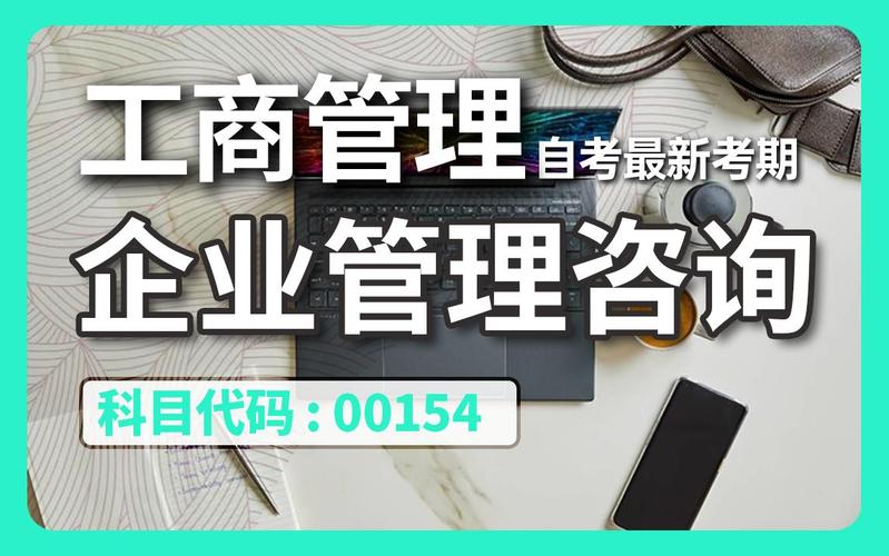 自考 00154 企业管理咨询 精讲全集 工商管理